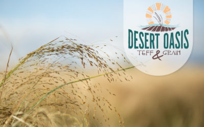 Welcome to Desert Oasis Teff & Grain!