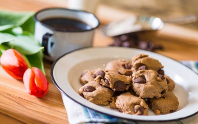 Chocolate Chip Ivory Teff Cookies