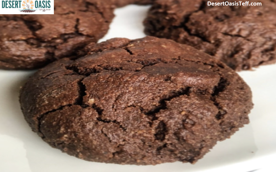 Vicky’s Chocolate Walnut TEFF Cookies